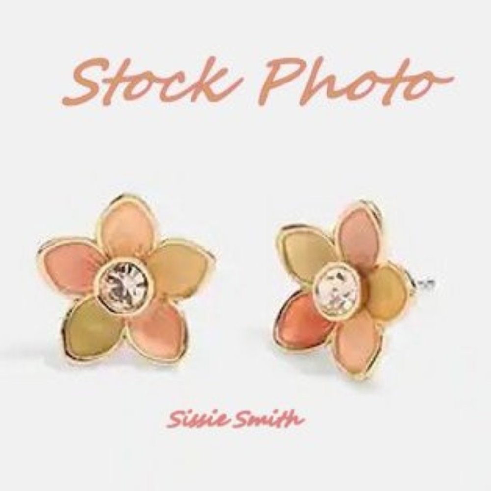 NWT Coach Transparent Wildflower Stud Earrings - Picture 4 of 6